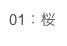 01：桜